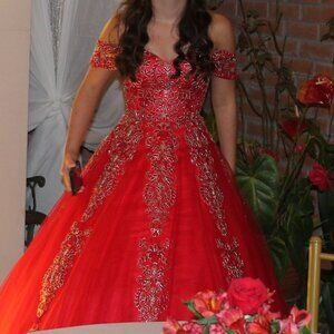 Formal Sweet Sixteen/quinceanera dresses